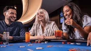 wolf777 app Live Casino